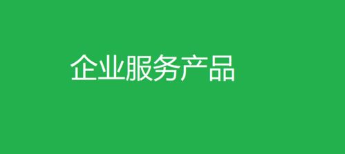 企業(yè)服務產(chǎn)品 從需求洞察到客戶成功的生態(tài)構建