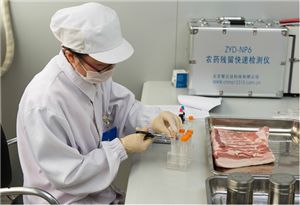 咨詢策劃服務的精準供應 如何在youbian.com找到優(yōu)質(zhì)信息資源
